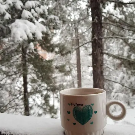 Lotos Apartment Kaludjerske Bare