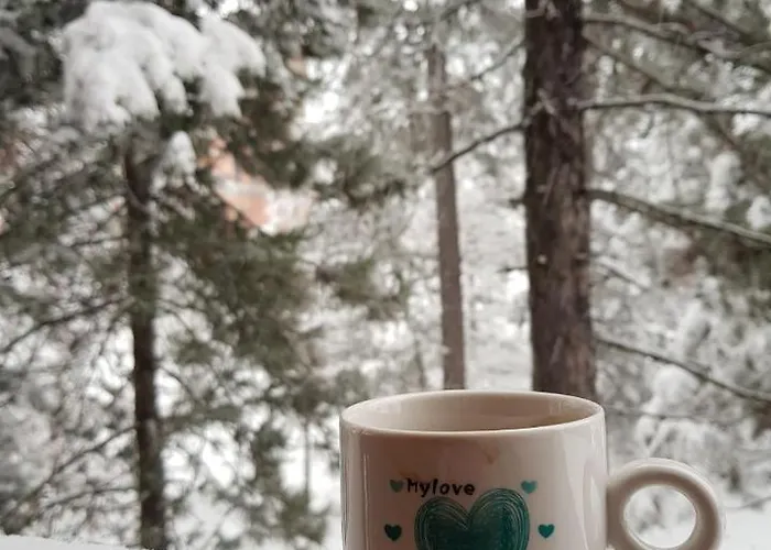 Lotos Apartamento Kaludjerske Bare